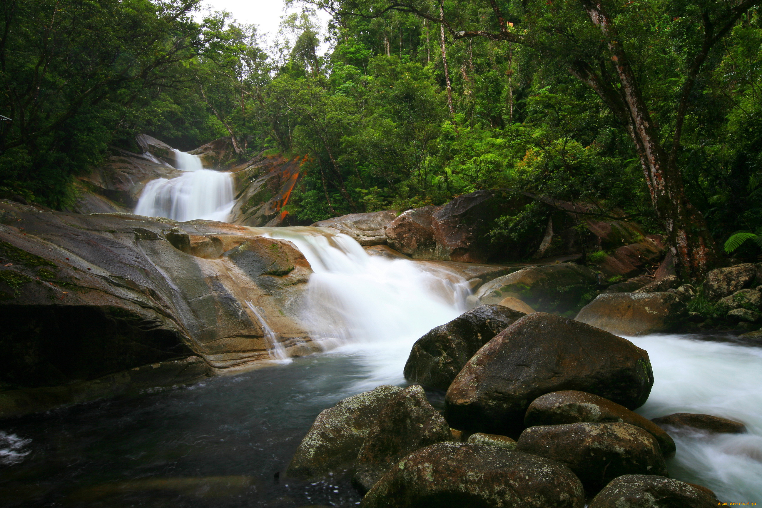 queensland, australia, , , 